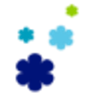 Blossom Education Investment L.L.C. logo